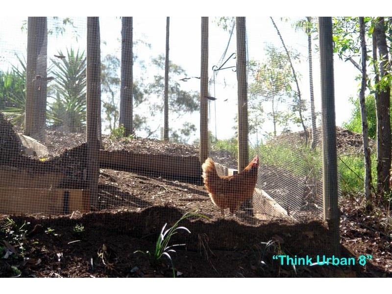 412 George Holt Drive, Mount Crosby QLD 4306